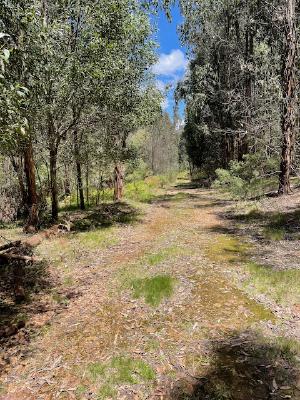 It was shadier when I setup