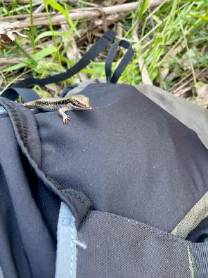 A local checking out what I’m up to