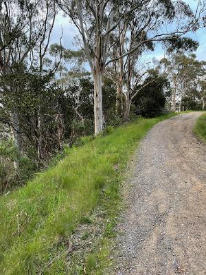 Operating position in the middle of the track