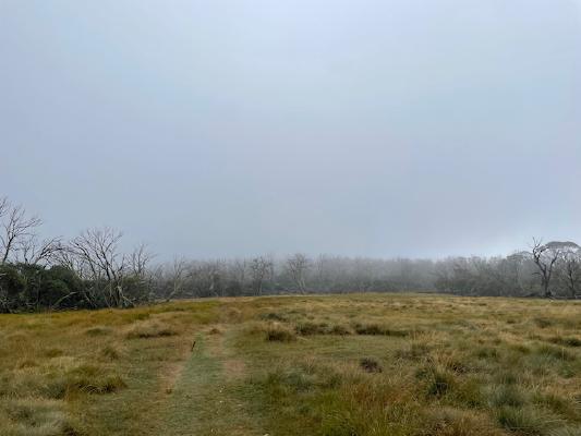 Plains about 1km from the start of the track