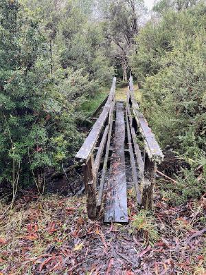 Thin & slippery looking bridge over Moroka river